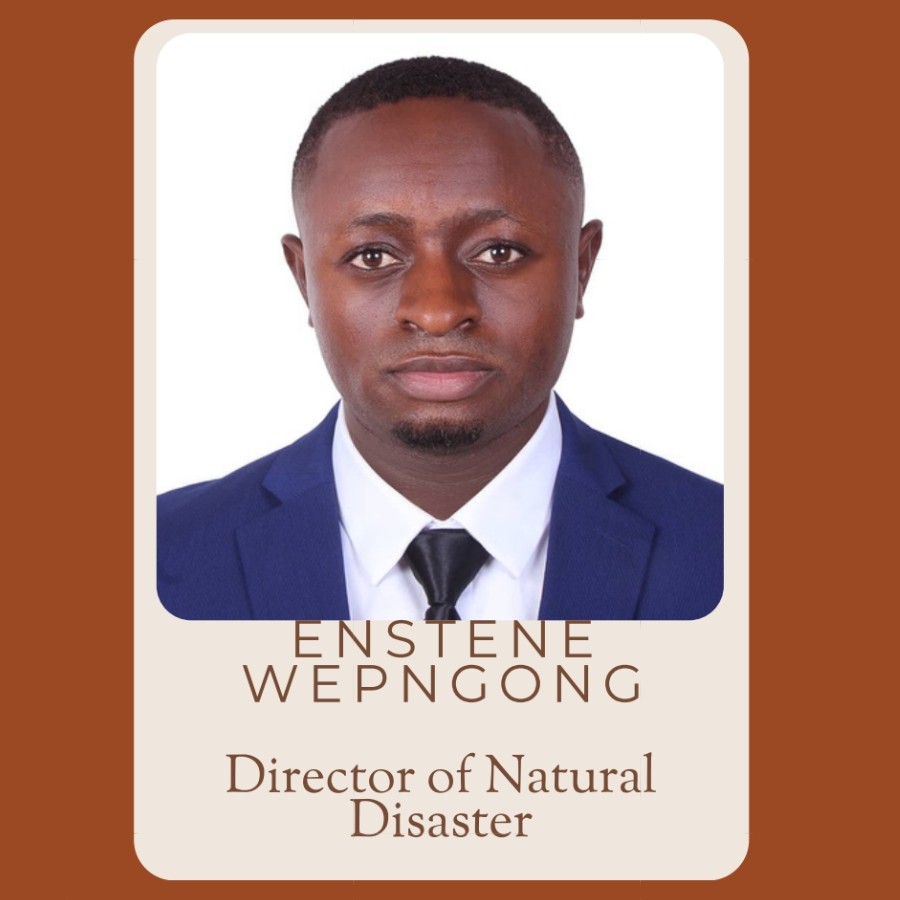 Projects Director